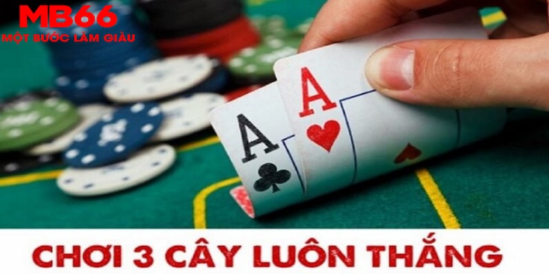 13winvn SA Trực Tuyến