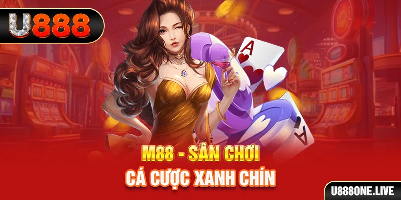 13winvn gà chọi cậu thanh