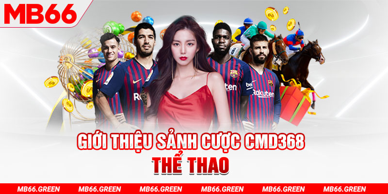 13winvn YGR Điện Tử