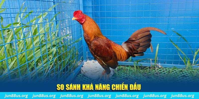 13winvn xổ số tiền giang