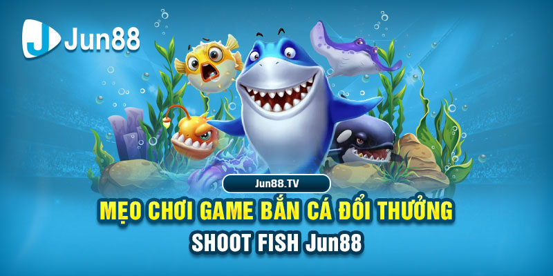 13winvn tai game danh bai bigkool ve may tinh