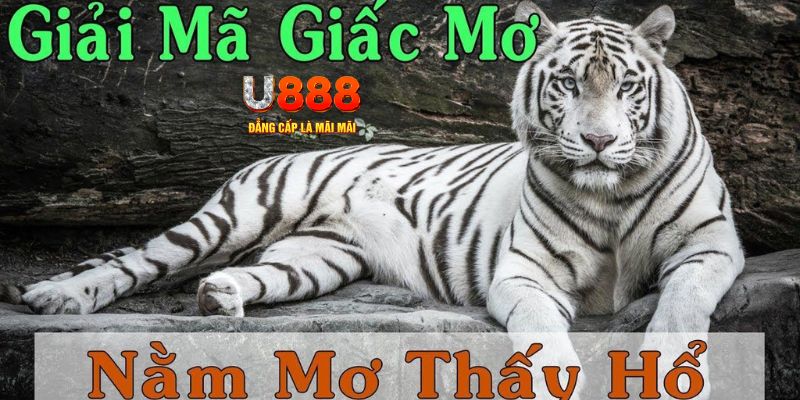 13winvn xổ số kiến thiết miền bắc