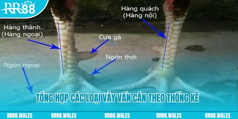 13winvn nổ hũ chơi như thế nào