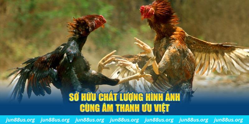 13winvn tai game danh bai ve may tinh