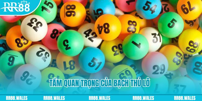 13winvn đá gà trực tiếp casino