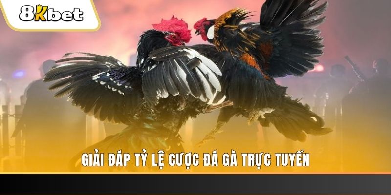 13winvn xổ số ba đài