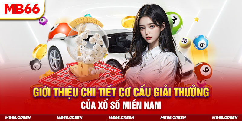 13winvn PP Điện Tử