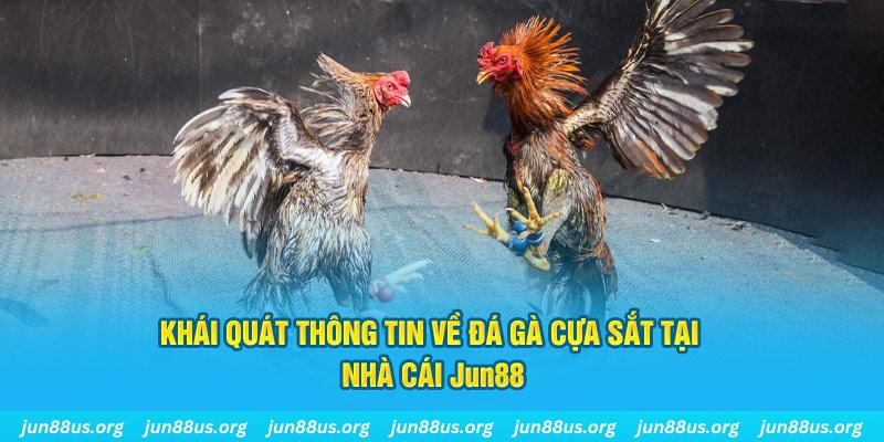 13winvn game bài trên máy tính
