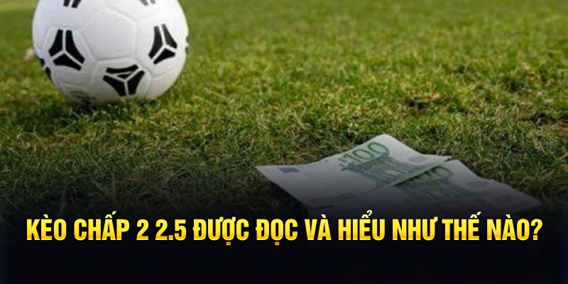 13winvn đá gà thomo