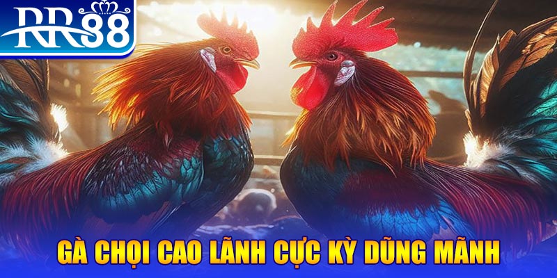 13winvn natural” trong baccarat nghĩa là gì？